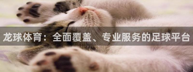 龙球体育：全面覆盖、专业服务的足球平台